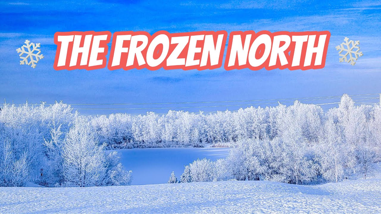 Freezing Fog in Calgary | Stunning Rime Ice on Trees