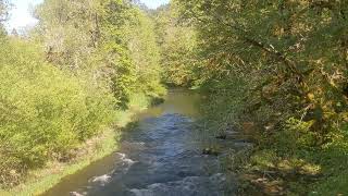 Clemens Park Benton County Oregon