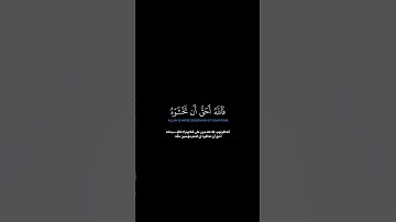 سورة التوبة الآية 13 الشيخ اللحيدان #quran #قرآن #guidance #لايك #اكسبلور #حالات_واتس #اللحيدان