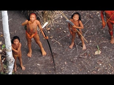 Uncontacted Amazon Tribe: First ever aerial footage