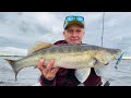 СЕКРЕТНАЯ приманка! Судак. NARVAL RIVER DANCE. Рыбалка с Кумом🦈