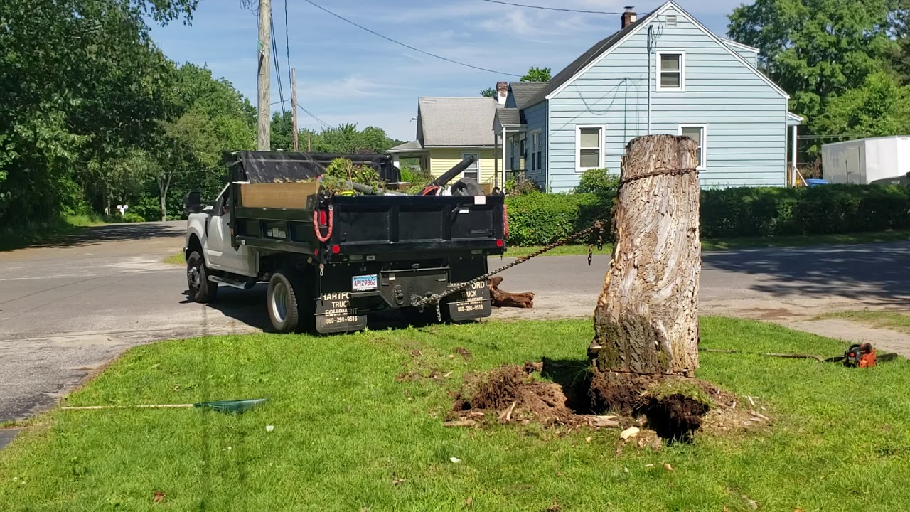 Pull me a Rotted tree out with my 2019 F350 dump truck - YouTube