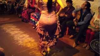 Flamenco Dance by Spanish Gypsies Part 1(, 2012-05-15T09:39:19.000Z)