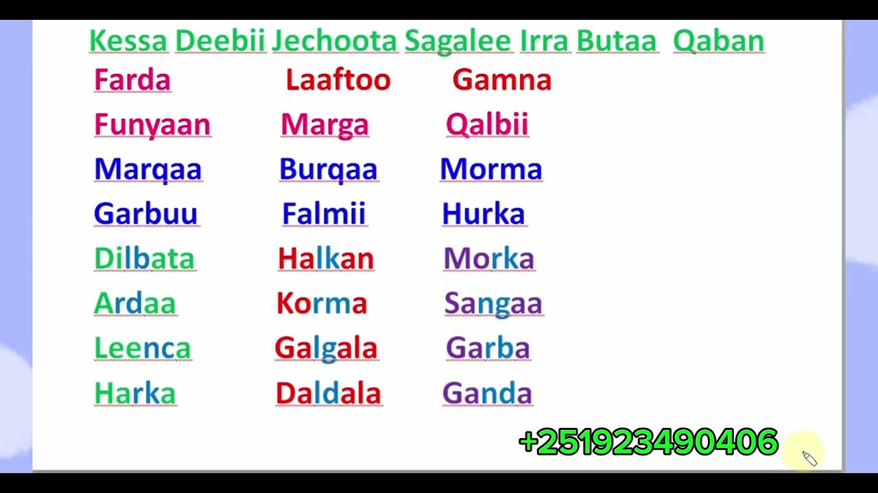 Kessa Deebii Jechoota Sagalee Irra Butaa  Qaban # Learn Afaan Oromoo #Amharic English letters