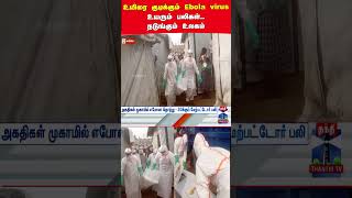 Congo | Ebola virus | Death