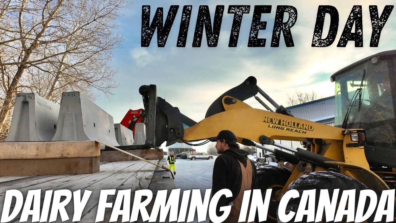 Concrete Delivery, Grain hauling, Cheese Building Update!