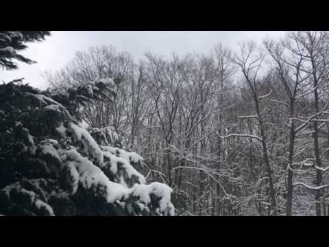 Ode To The Snow... day