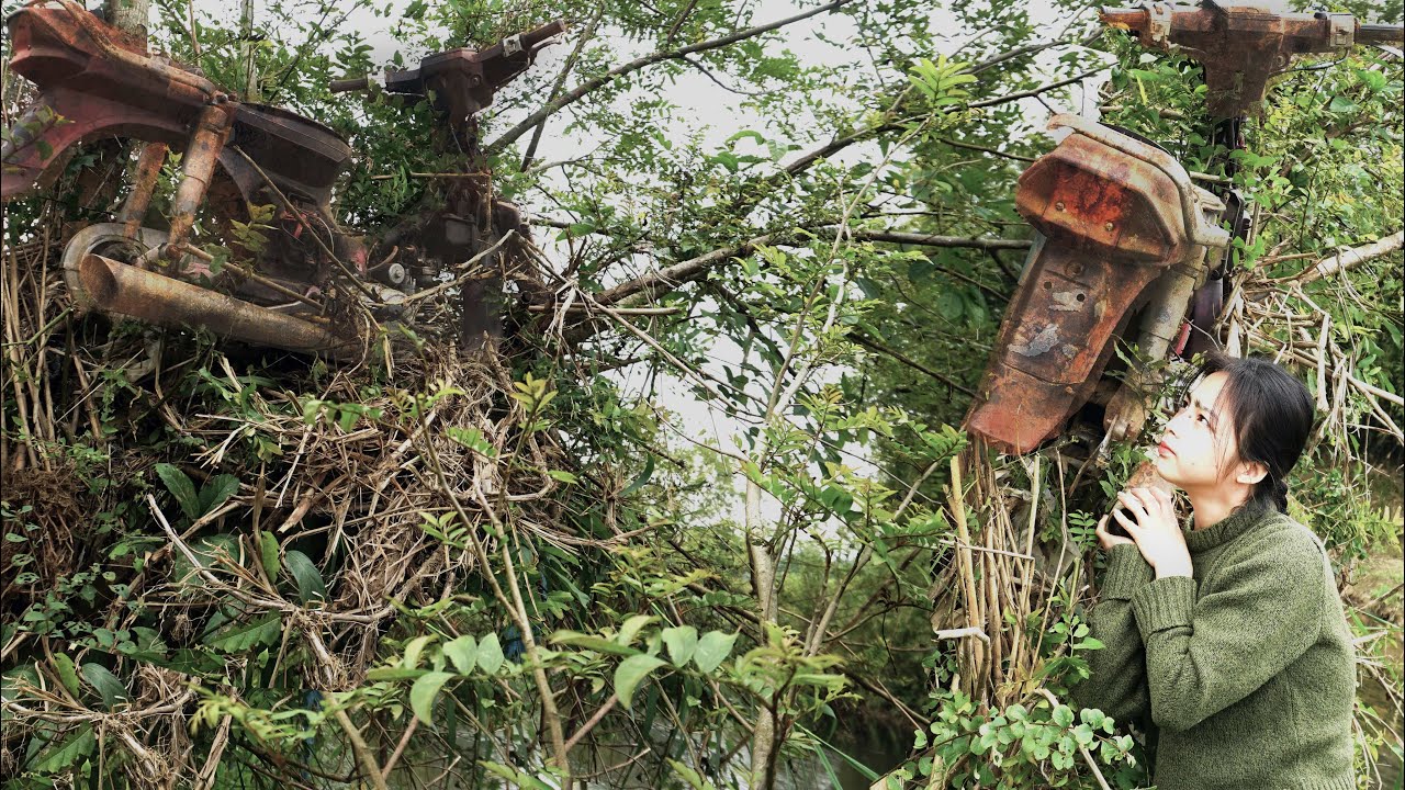 FULL VIDEO | 90 days and 300km to repair and restore motorbikes in the forest, on trees, underwater