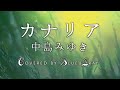 #カナリア #中島みゆき #Cover by #Blue&amp;Gray #ぶるぐれ