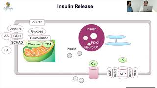 MedEClasses Grand Round Transient Hyperisulinism
