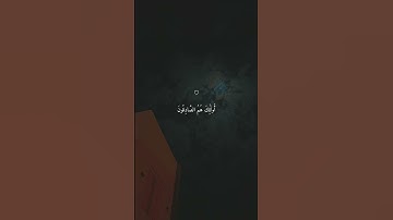 يَبْتَغُونَ فَضْلًا مِّنَ اللَّهِ وَرِضْوَانًا | تلاوة خاشعة بصوت #ماهر_المعيقلي #quran