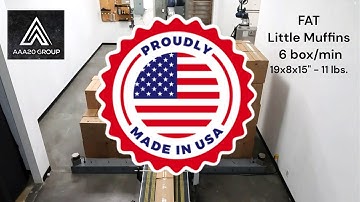 Collaborative Palletizer - FAT - Cobot Palletizer - 6 box/min 19x8x15" - 11 lbs.