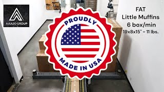 Collaborative Palletizer - FAT - Cobot Palletizer - 6 box/min 19x8x15" - 11 lbs.