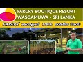 FARCRY HOTEL WILGAMUWA Organic gardening ගෙවතු වගාව හා අක්කර 12ක වගාව garden 12 acre cultivation