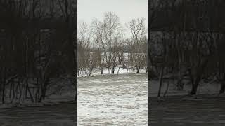 Muskingum River Mcconnelsville Ohio 2622