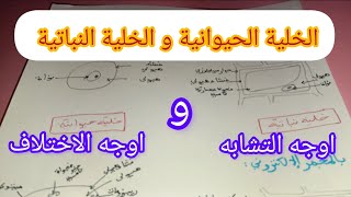 أوجه التشابه و الاختلاف  بين الخلية الحيوانية و الخلية النباتية