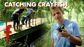 Pub-Landlord's Lessons: Gordon Catches & Cooks American Crayfish 🦞 | The F Word