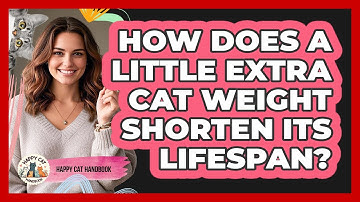 How Does A Little Extra Cat Weight Shorten Its Lifespan? - Happy Cat Handbook