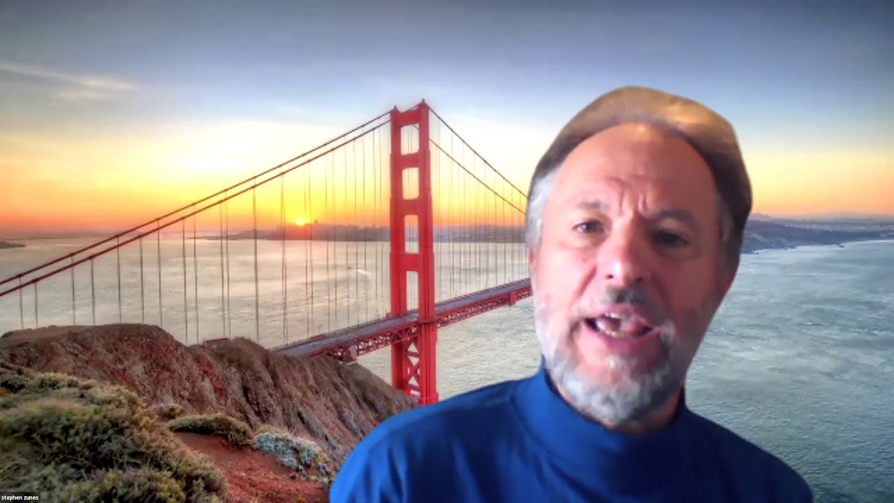 Democracy Defense - Stephen  Zunes