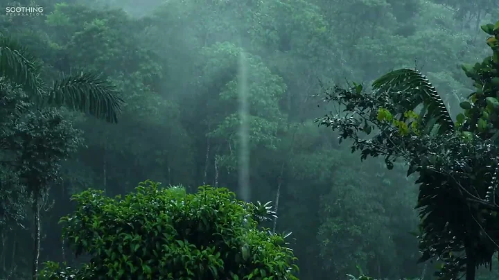 No Worries • 10 Hours of Rain Sounds and Calming Music for Sleeping