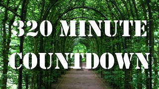320 minute timer countdown with alarm sound effect