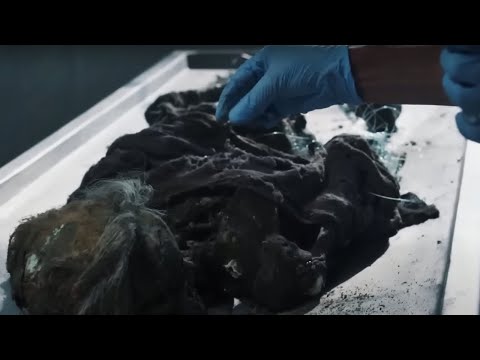 ОСТРОСЮЖЕТНЫЙ ДЕТЕКТИВ ДО МУРАШЕК! УЖАСАЮЩАЯ НАХОДКА ЧЕТЫРЁХ ТРУПОВ НА ФЕРМЕ! Танцы на Песке