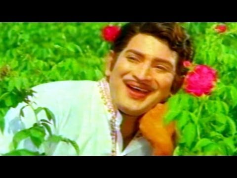 Gajula Kishtayya Songs - Navvulu Ruvve - Krishna, Zarina Wahab - HD