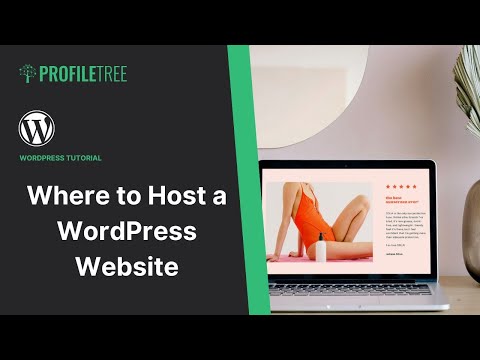 Where to Host a WordPress Website | Website Hosting | WordPress Hosting | Web Hosting