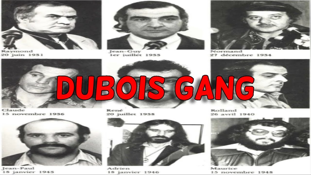 9 братьев, которые правили преступным миром Монреаля