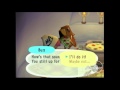 Animal Crossing:GC-Talking to the sea shore sailor and can birds really live in igloos?