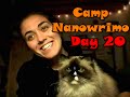 CAMP NANOWRIMO: DAY 20