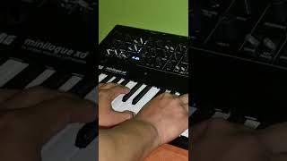 Lucia - Roosevelt (Intro &amp; Ending Synth) #Korg #MinilogueXD #Roosevelt #Lucia #YoungRomance #Peru