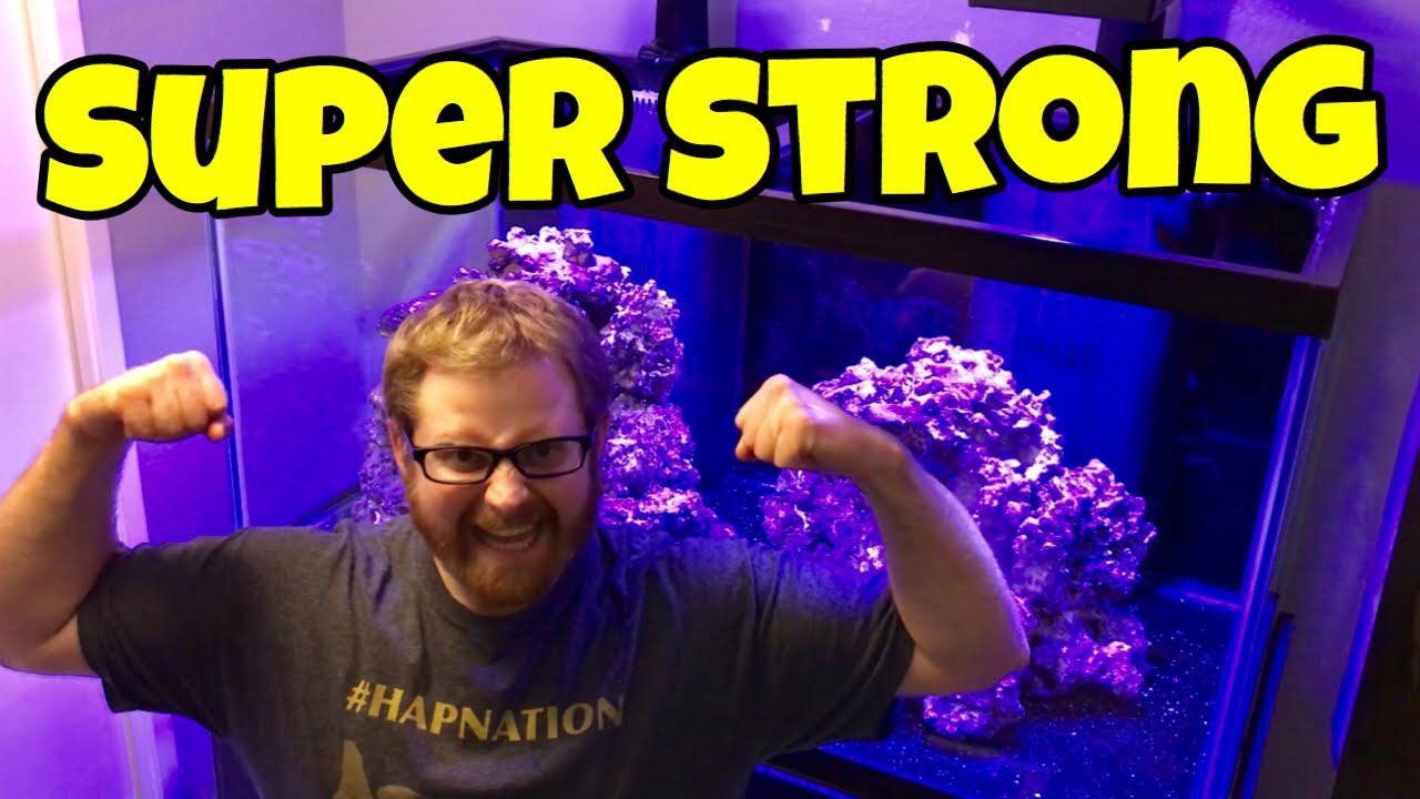 AQUARIUM WONT FALL THROUGH THE FLOOR NOW YouTube