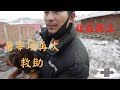 三条狗要被賣到屠宰场，好心人拦下送往救助站，小伙花1100元解救          －Dog rescue in China -- 20210227