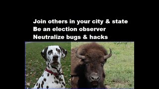 Check election audits: Scenes 1-5