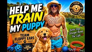 HELP ME TRAIN MY PUPPY!