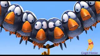 Maceracı Kuşgiller - Kuşlar Için