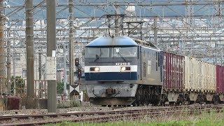 JR貨物・梅雨時のEF210形（Japan Freight Railway）