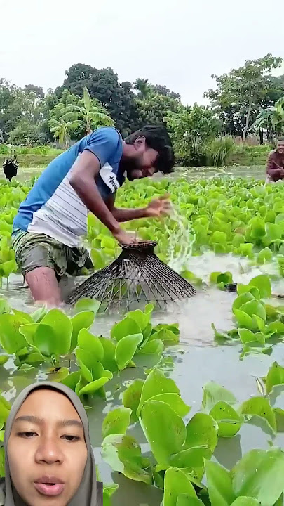 Nangkep apaan sii?? #shorts #funny #comedy #fishing #hiburansegar #shortsfeed #viralshort #short