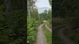 Look at the green 🌲#nature #sweden #explore #hike #green #walking #scandinavia #travel #foryou