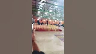 Kaca mata kuda Intan br ginting cibubur