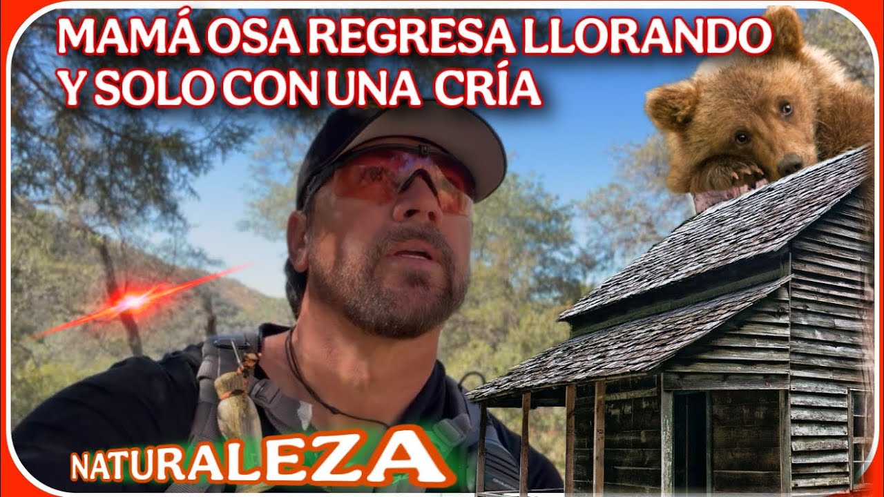 AVENTURA 561” LOS ANIMALES TAMBIÉN LLORAN Y AQUÍ LA CAMARA NO MIENTE