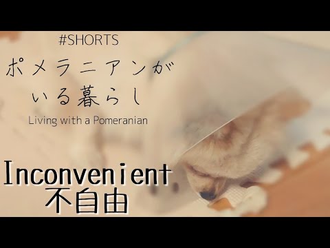 胸 が 締め付け られる 意味 胸 が 締め付け られる 意味