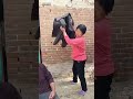 Are you rebelling! #Unexpected #FunnyVideo ##Look at it and laugh at it