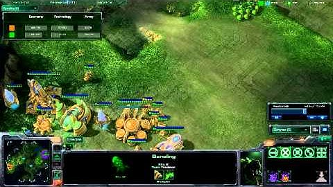 PvZ Counter Early Push