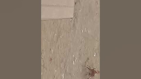 Vishnu Lokhande autowale