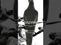 اكتب شئ تؤجر عليه اكتب شئ تؤجر عليه
