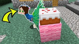 Minecraft: PEACOCK HIDE AND SEEK!  BEATING POPULARMMOS