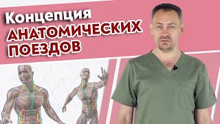 Самая важная книга для массажиста! / Томас Майерс Анатомические поезда