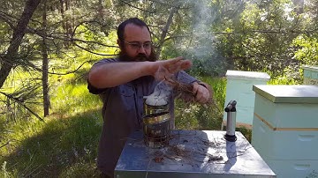 Using pine needles in a smoker